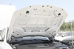 new energy vehicles